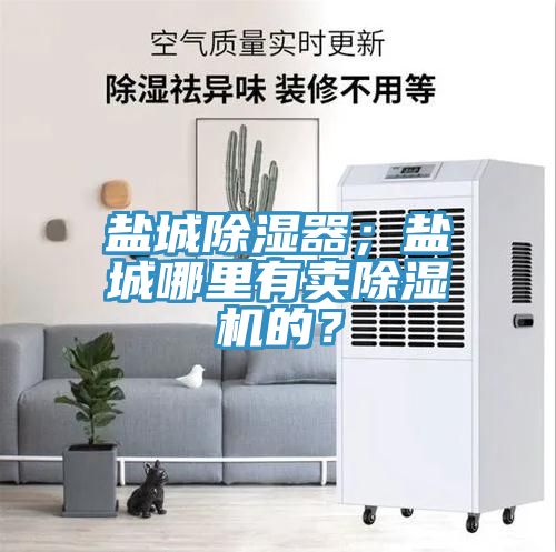 鹽城除濕器；鹽城哪里有賣除濕機的？