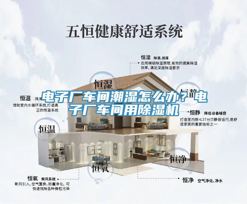 電子廠車間潮濕怎么辦？電子廠車間用除濕機
