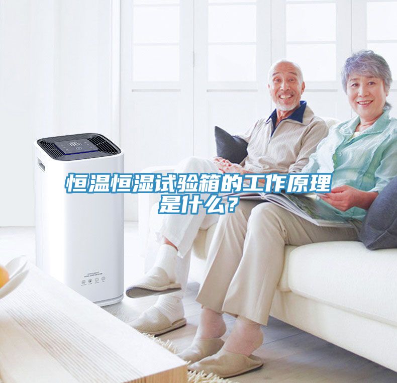 恒溫恒濕試驗箱的工作原理是什么？