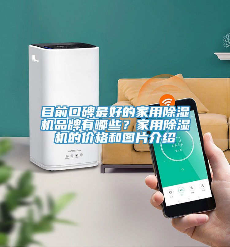 目前口碑最好的家用除濕機(jī)品牌有哪些？家用除濕機(jī)的價(jià)格和圖片介紹