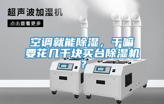 空調(diào)就能除濕，干嘛要花幾千塊買臺除濕機？