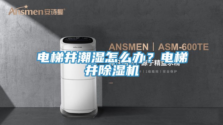 電梯井潮濕怎么辦？電梯井除濕機(jī)