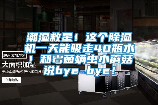 潮濕救星！這個除濕機(jī)一天能吸走40瓶水！和霉菌螨蟲小蘑菇說bye bye！