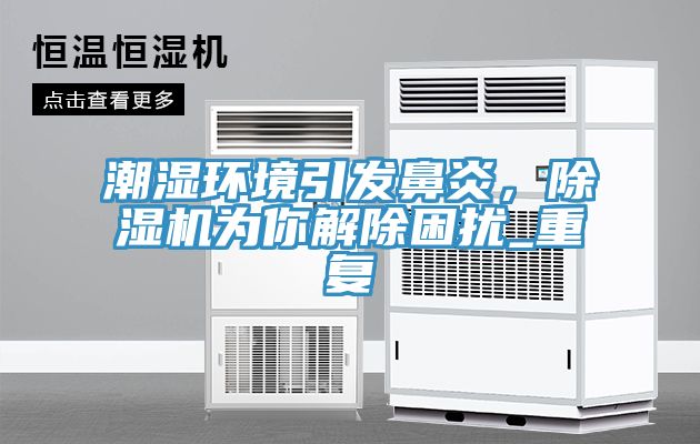 潮濕環(huán)境引發(fā)鼻炎，除濕機(jī)為你解除困擾_重復(fù)