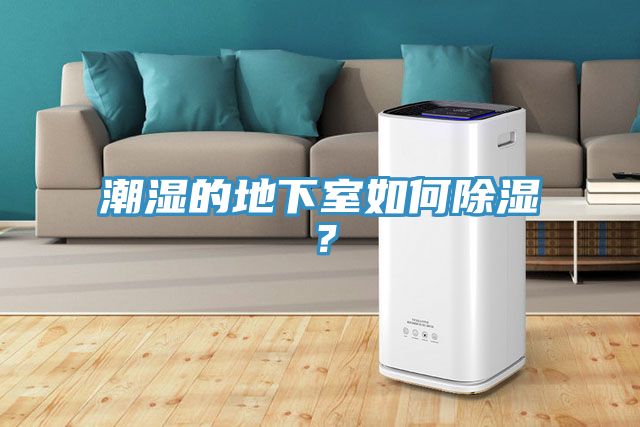 潮濕的地下室如何除濕？