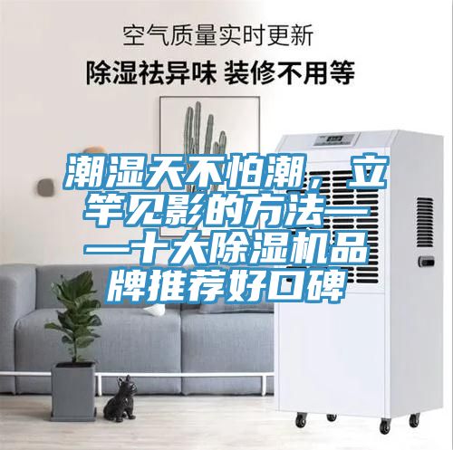 潮濕天不怕潮，立竿見影的方法——十大除濕機(jī)品牌推薦好口碑