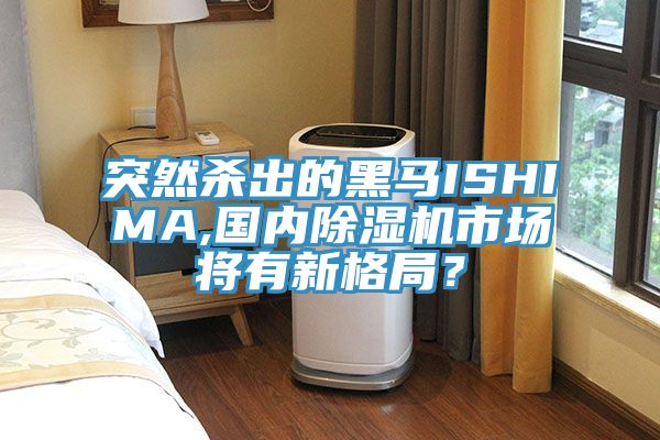 突然殺出的黑馬ISHIMA,國內(nèi)除濕機市場將有新格局？