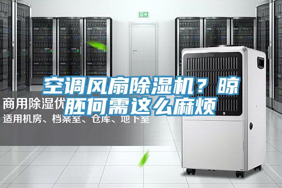 空調(diào)風(fēng)扇除濕機？晾胚何需這么麻煩