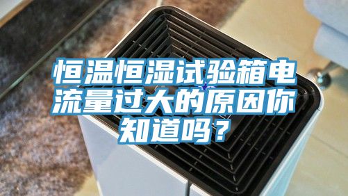 恒溫恒濕試驗(yàn)箱電流量過(guò)大的原因你知道嗎？