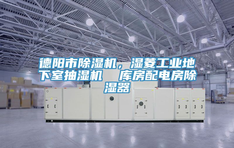 德陽(yáng)市除濕機(jī)，濕菱工業(yè)地下室抽濕機(jī)  庫(kù)房配電房除濕器