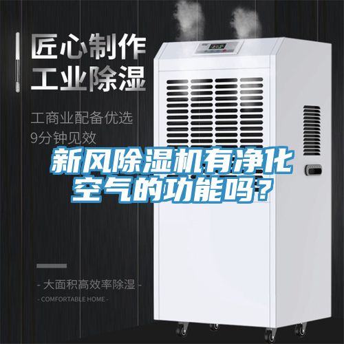 新風除濕機有凈化空氣的功能嗎？