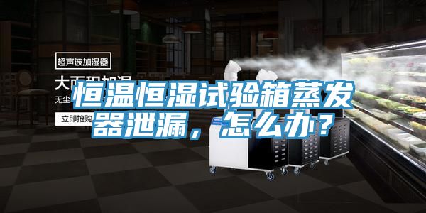 恒溫恒濕試驗箱蒸發(fā)器泄漏，怎么辦？