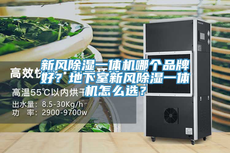新風除濕一體機哪個品牌好？地下室新風除濕一體機怎么選？
