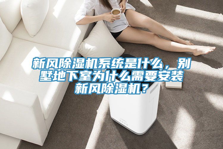 新風除濕機系統(tǒng)是什么，別墅地下室為什么需要安裝新風除濕機？