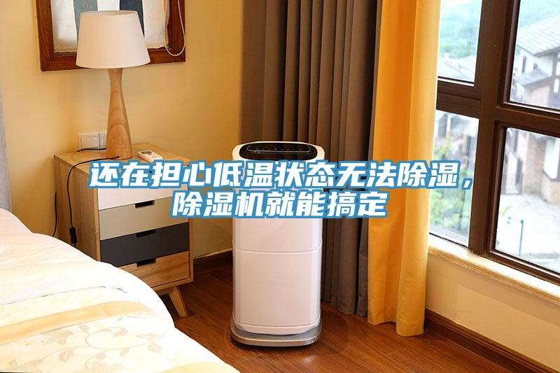 還在擔(dān)心低溫狀態(tài)無法除濕，除濕機就能搞定