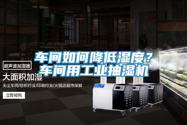 車間如何降低濕度？車間用工業(yè)抽濕機