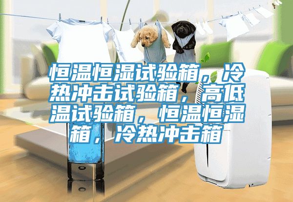 恒溫恒濕試驗箱，冷熱沖擊試驗箱，高低溫試驗箱，恒溫恒濕箱，冷熱沖擊箱