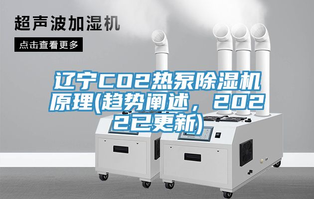遼寧CO2熱泵除濕機(jī)原理(趨勢(shì)闡述，2022已更新)