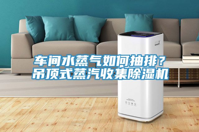 車間水蒸氣如何抽排？吊頂式蒸汽收集除濕機
