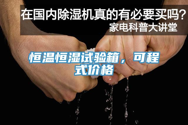 恒溫恒濕試驗箱，可程式價格