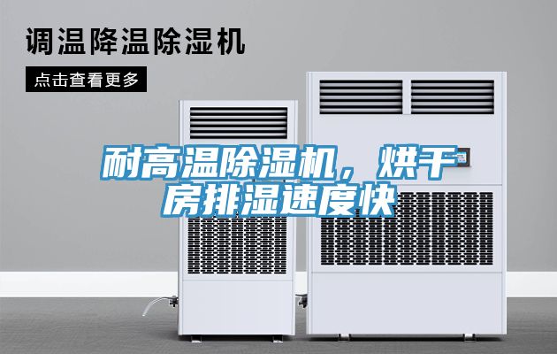 耐高溫除濕機(jī)，烘干房排濕速度快