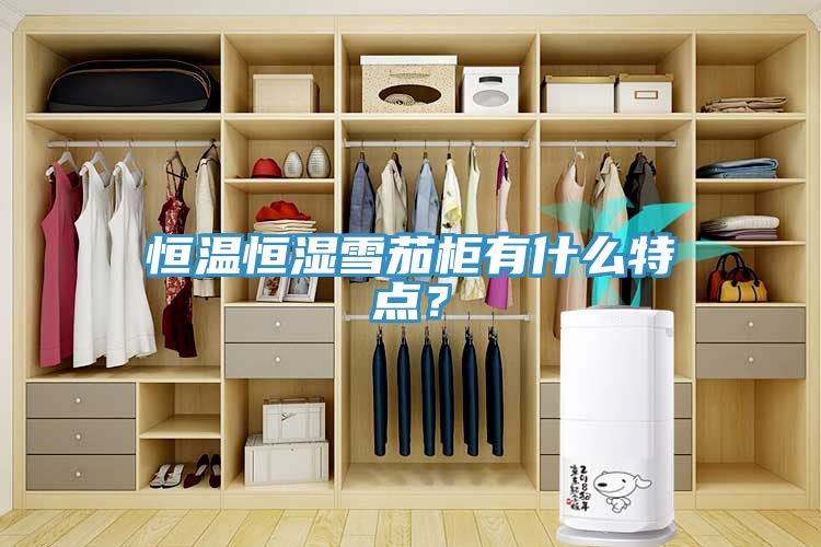 恒溫恒濕雪茄柜有什么特點(diǎn)？