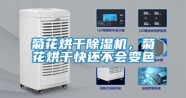 菊花烘干除濕機，菊花烘干快還不會變色
