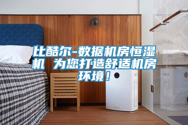 比酷爾-數(shù)據(jù)機(jī)房恒濕機(jī) 為您打造舒適機(jī)房環(huán)境！