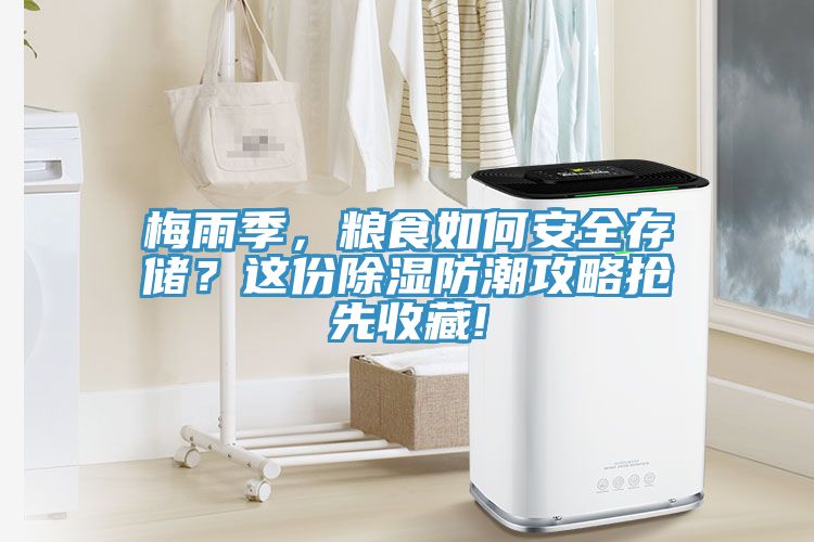 梅雨季，糧食如何安全存儲(chǔ)？這份除濕防潮攻略搶先收藏!
