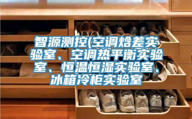 智源測控(空調(diào)焓差實驗室、空調(diào)熱平衡實驗室、恒溫恒濕實驗室、冰箱冷柜實驗室