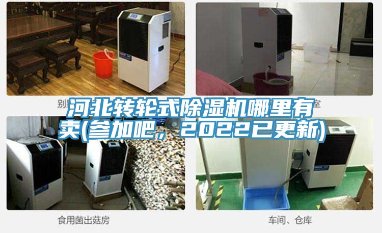 河北轉(zhuǎn)輪式除濕機(jī)哪里有賣(參加吧，2022已更新)