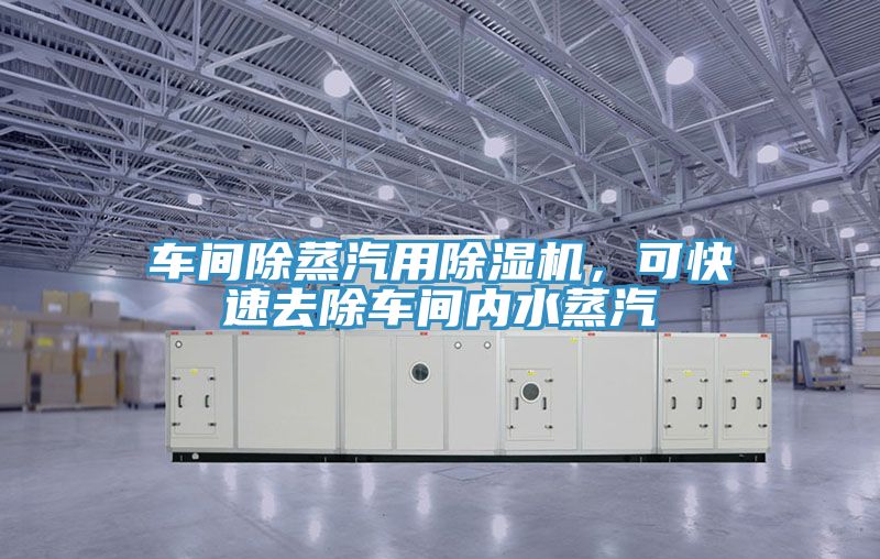 車間除蒸汽用除濕機，可快速去除車間內(nèi)水蒸汽