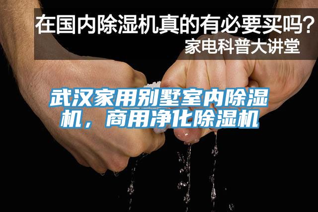 武漢家用別墅室內(nèi)除濕機，商用凈化除濕機