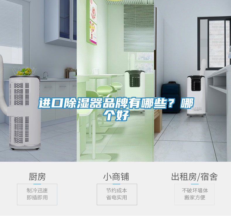 進口除濕器品牌有哪些？哪個好