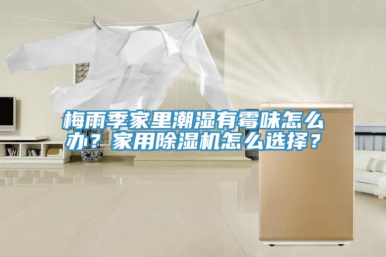 梅雨季家里潮濕有霉味怎么辦？家用除濕機(jī)怎么選擇？