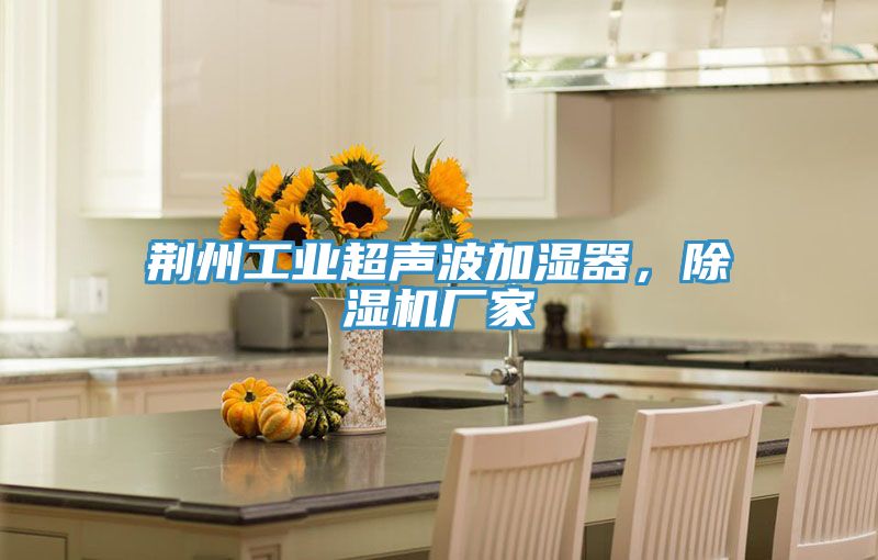 荊州工業(yè)超聲波加濕器，除濕機(jī)廠家