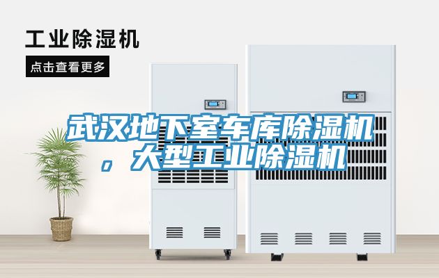武漢地下室車庫除濕機，大型工業(yè)除濕機