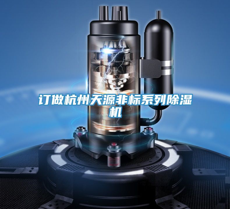 訂做杭州天源非標(biāo)系列除濕機