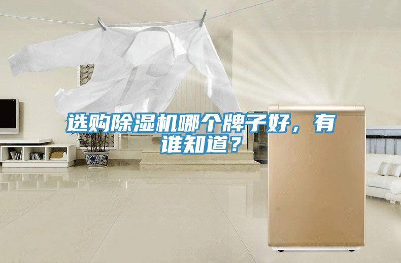選購除濕機(jī)哪個牌子好，有誰知道？