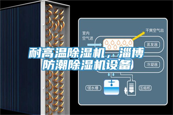 耐高溫除濕機(jī)，淄博防潮除濕機(jī)設(shè)備