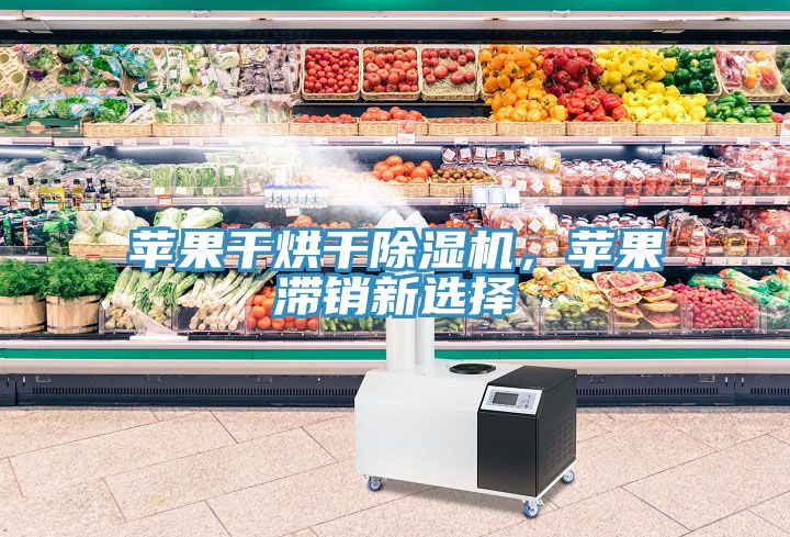 蘋果干烘干除濕機(jī)，蘋果滯銷新選擇