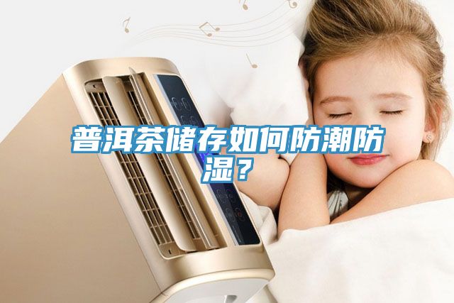 普洱茶儲存如何防潮防濕？