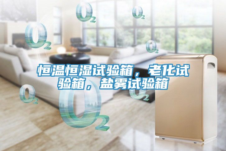 恒溫恒濕試驗箱，老化試驗箱，鹽霧試驗箱