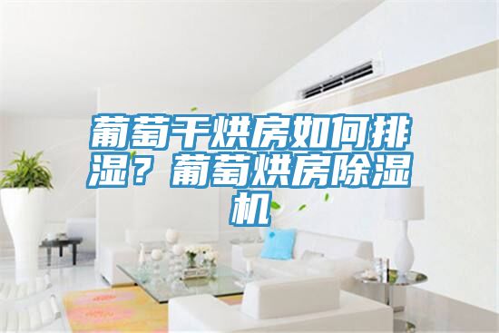 葡萄干烘房如何排濕？葡萄烘房除濕機(jī)