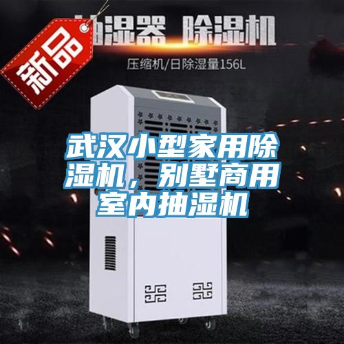 武漢小型家用除濕機，別墅商用室內(nèi)抽濕機