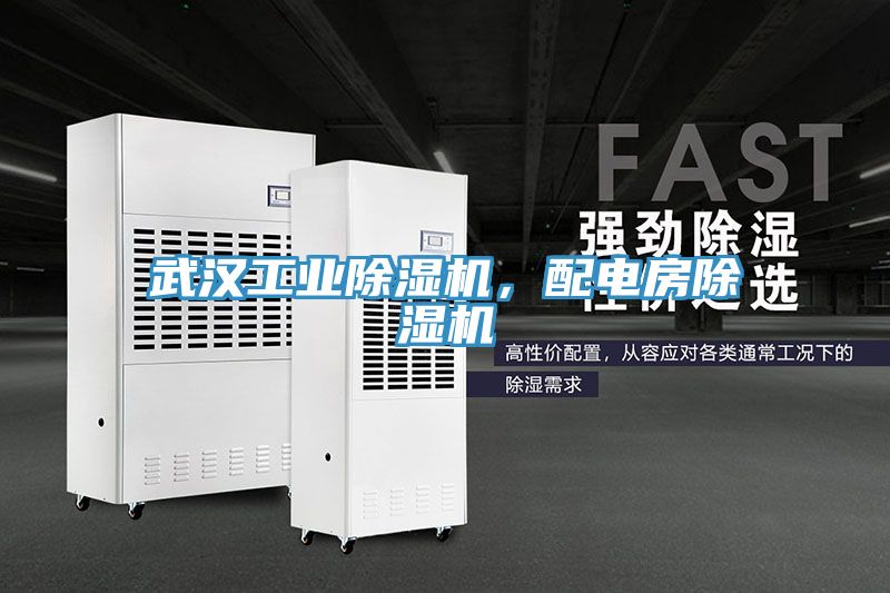 武漢工業(yè)除濕機，配電房除濕機