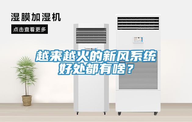 越來越火的新風(fēng)系統(tǒng)好處都有啥？