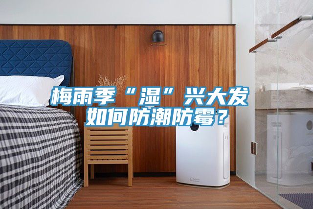 梅雨季“濕”興大發(fā) 如何防潮防霉？