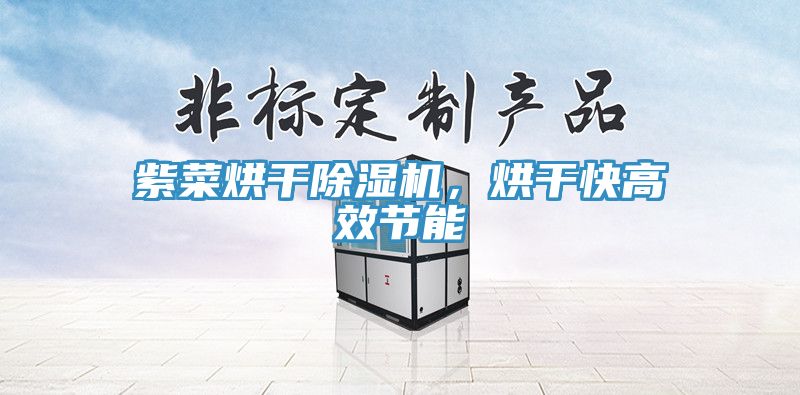 紫菜烘干除濕機(jī)，烘干快高效節(jié)能
