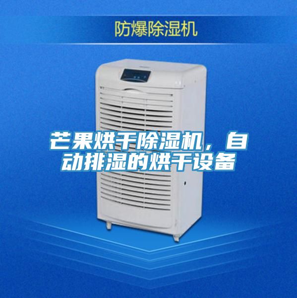 芒果烘干除濕機(jī)，自動排濕的烘干設(shè)備